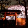 2015年の花見はココ！東京の桜の名所8選