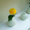 インテリアに取り入れたい9つのお花♪あなたならどうやって飾りますか？